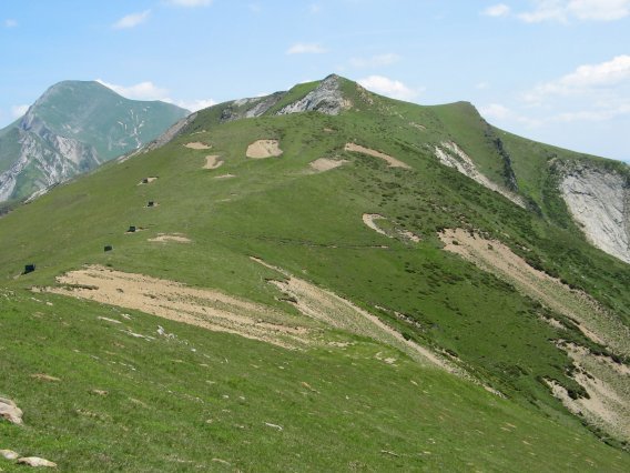 Mko bizkarretik ikusita