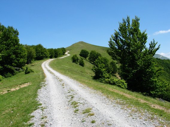 Mko bizkarrean gora igotzen den pista