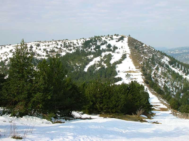 La ya cercana cumbre de Cantoblanco.