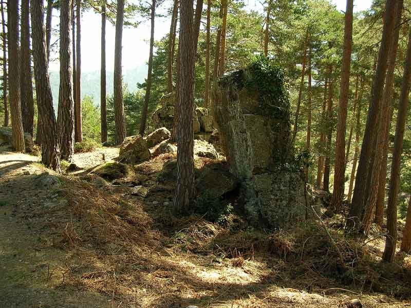 Mas formas curiosas.