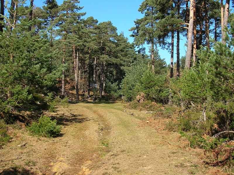 El termino de Despeñadero,muy proximo a la cumbre.