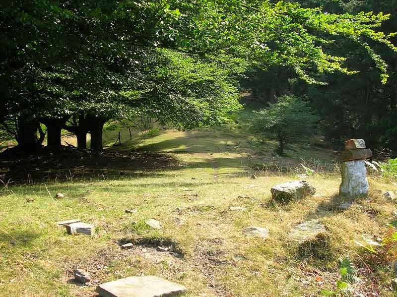 Tomamos la senda cimera...