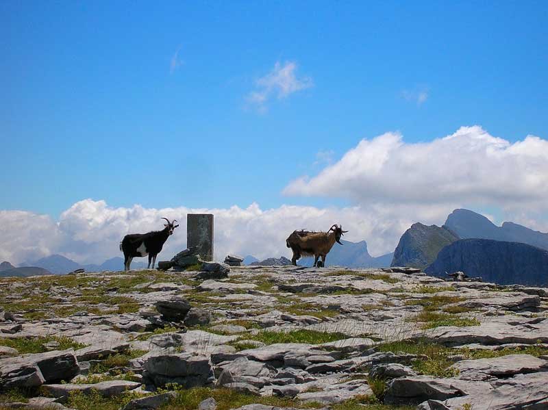 Y en breve la cima...