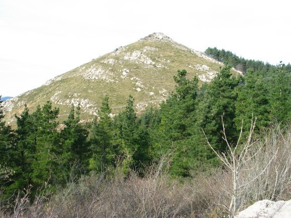 Tontorra Etik, pinudiaz inguratuta