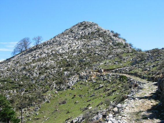 Mendebaldeko isurialdea