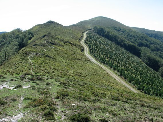 Iparraldeko hegitik ikusita