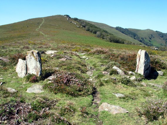 Olegi aldeko estazio megalitikoa