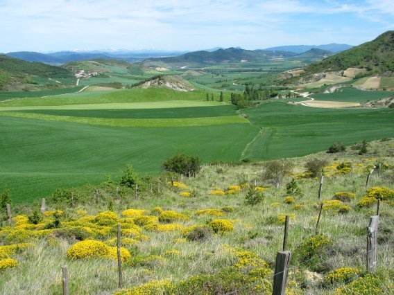 Elortzibar aldeko paisaia