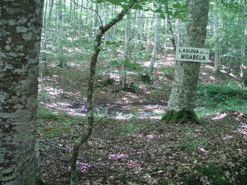 "La Nibasela" zingira