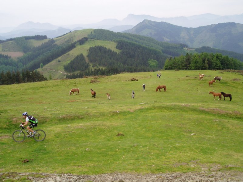 Hegoaldera ikuspegia