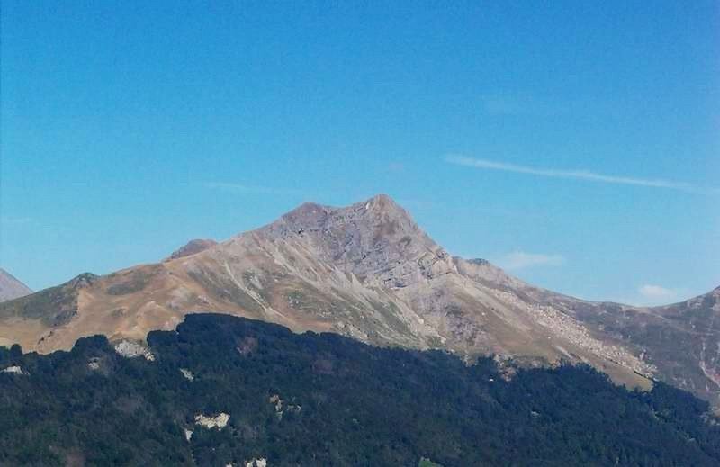 Txamantxoiako bidean hartutako irudia