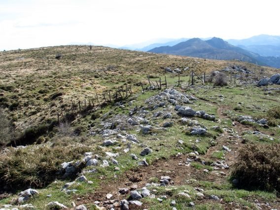 Bi gainen arteko lepoa