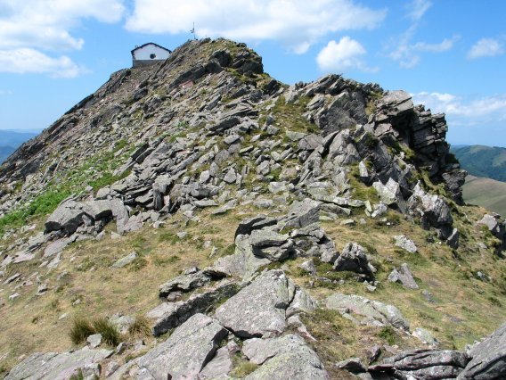 Tontorra Ekialdeko gandorretik