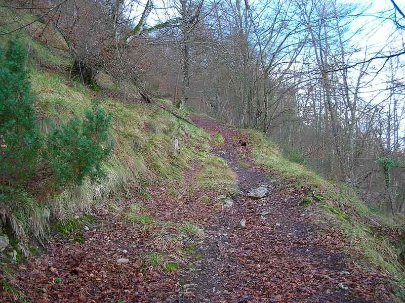 De camino al Portillo.