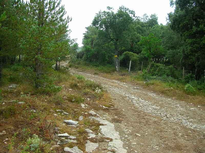 Ahora hacia la izquierda a por la cima...?Ojo con los mastines!