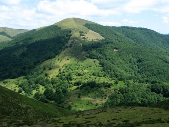 Zagua aldetik ikusita