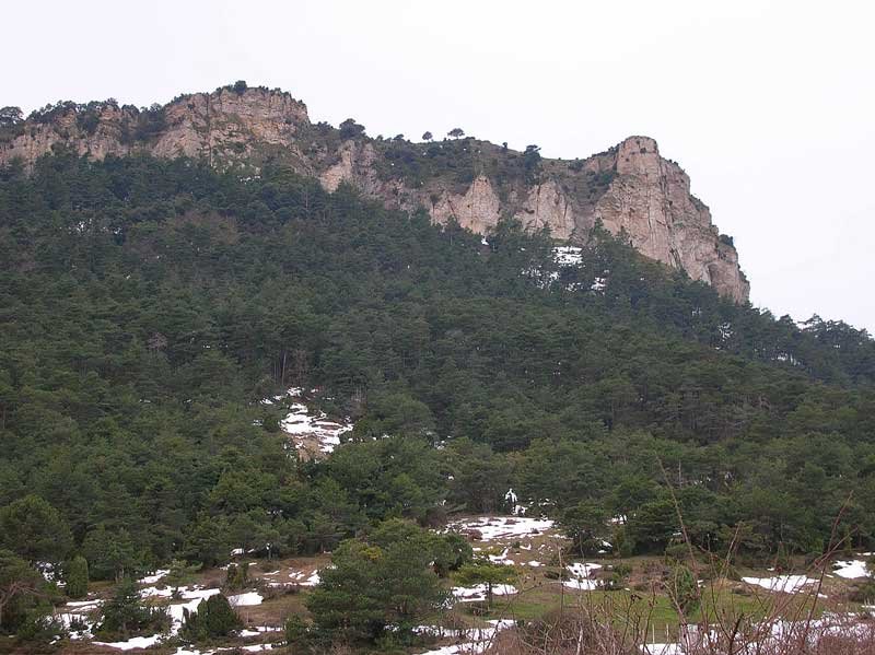 Primer plano de Olvedo.