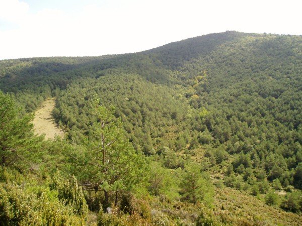 Ortxikasko desde Landakoa