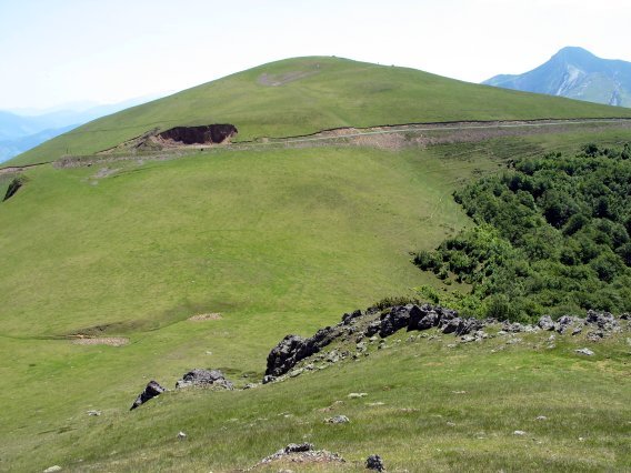 Txardeka aldetik ikusita