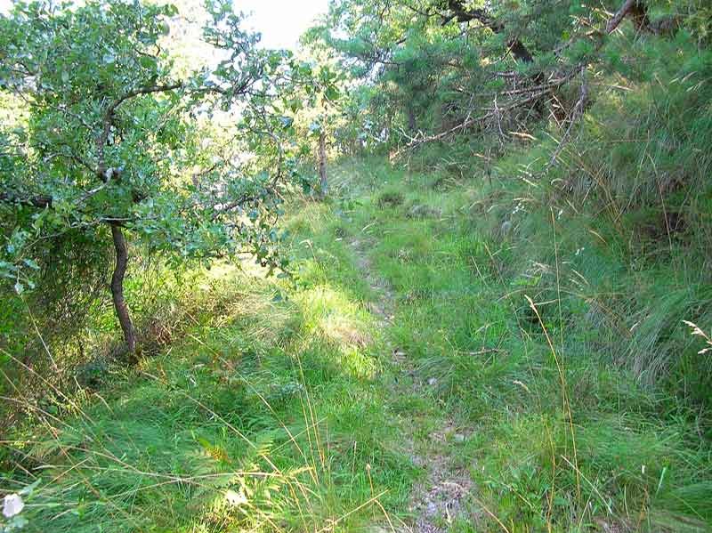 Comienza el tramo m?s farragoso.