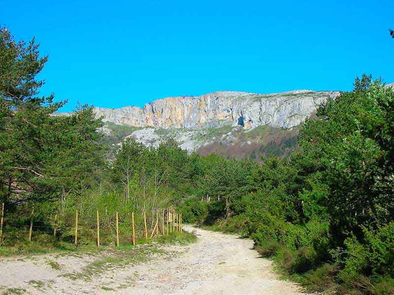 Primer tramo de la subida.