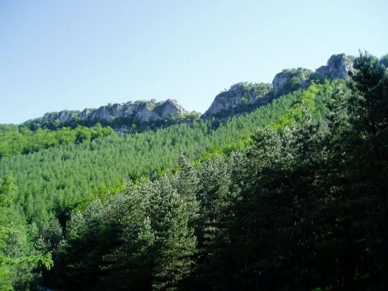 Iparraldeko isurialdea