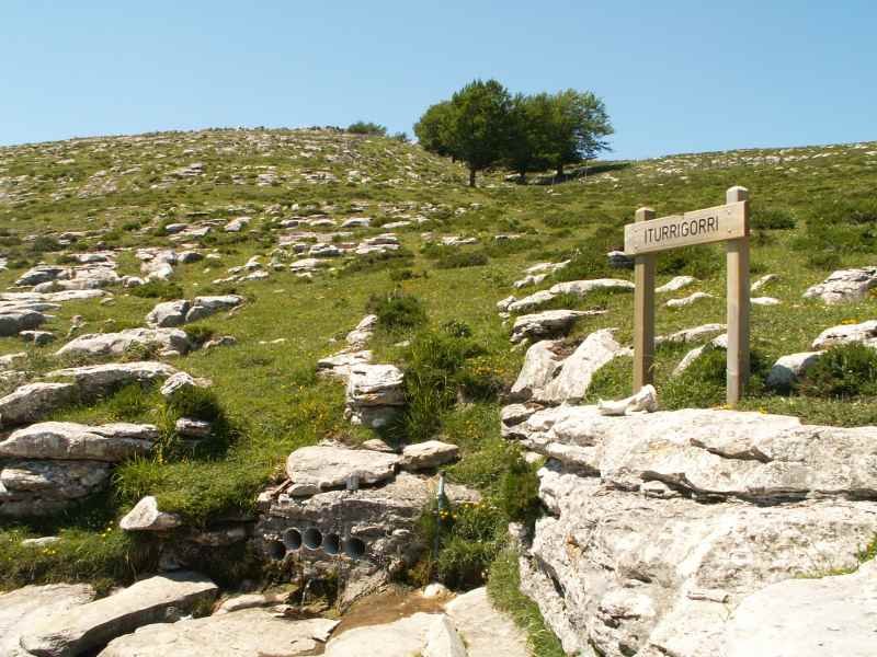 Ia tontorrean dagoen "Iturrigorri" iturria / Fuente "Iturrigorri", casi en la cumbre
