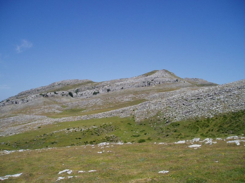 Hegoekialdetik ikusita