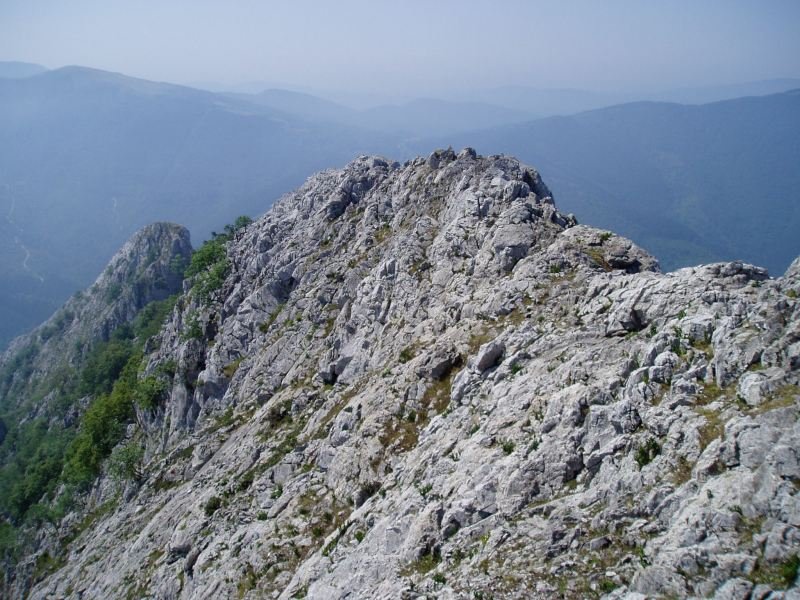 Tontorretik hegoalderuntz luzatzen den gandorra