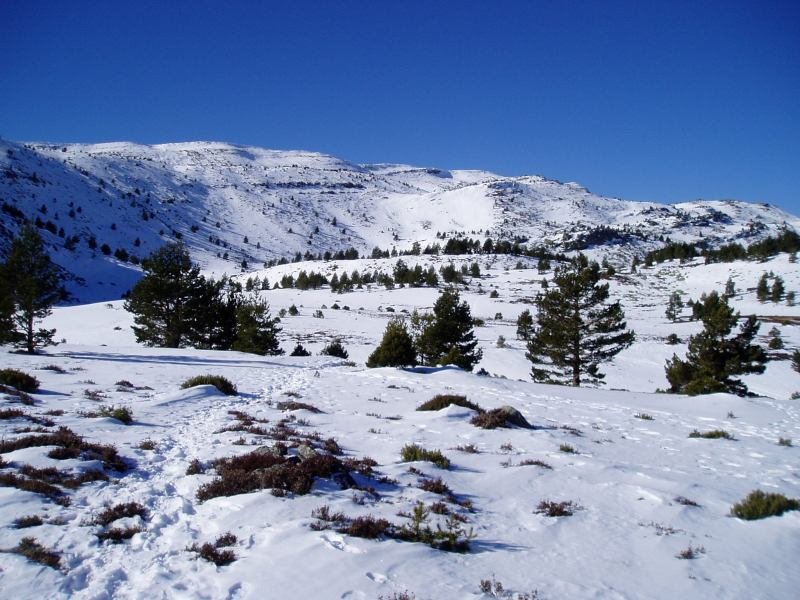 Laguna Negratik igotzen den bidean