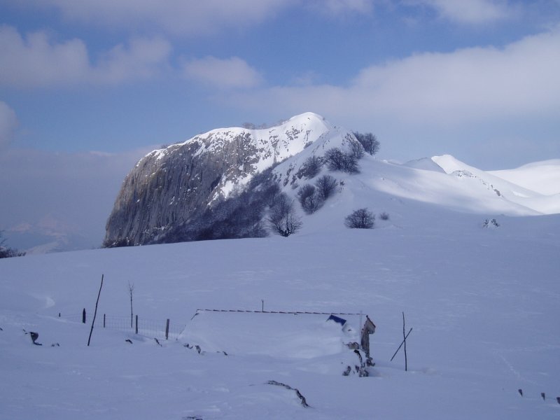 Hegoekialdetik ikusita