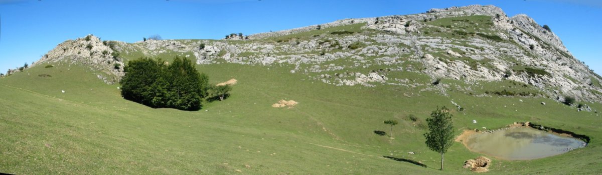 Xoxoka aldetik ikusita