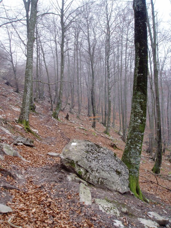 "Errena harria" Lendoño Goitiatik igotzen den bidean