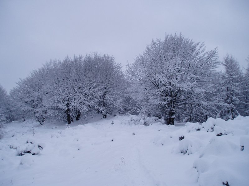 Pagobedeinkatu inguruan