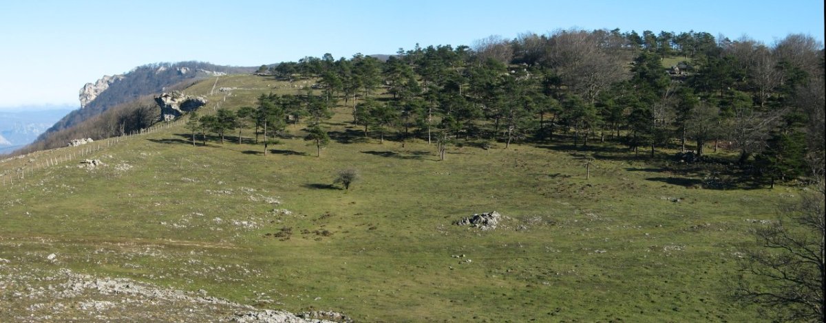 Mendebaldetik ikusita