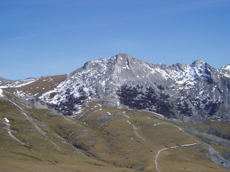 Zabalaitzetik ikusita