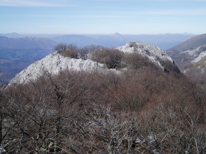 Tontor nagusitik ipar-mendebaldera ikuspegia
