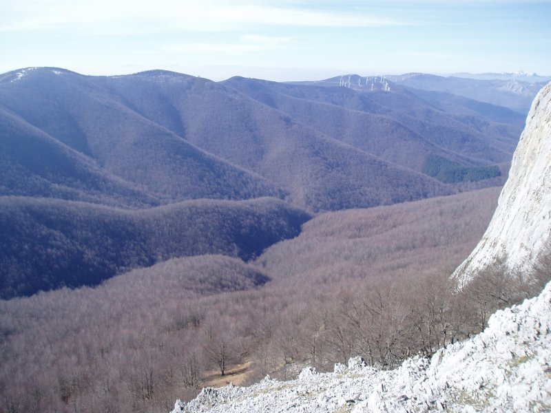 Arantzazuko errekaren bailara