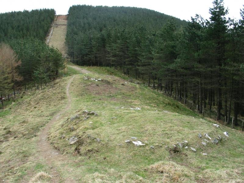 Etzelako mairubaratzak