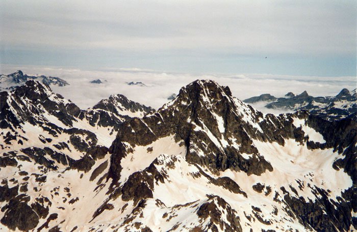 Frondellatik ikusita