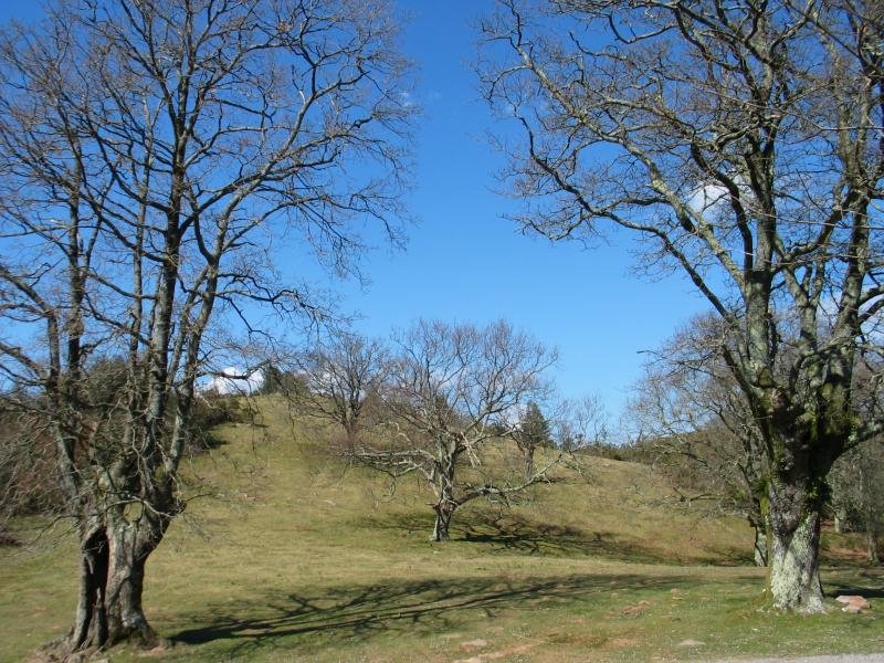 Ez da dena otea, badira paraje ederrak Iparraldeko isurialdean.