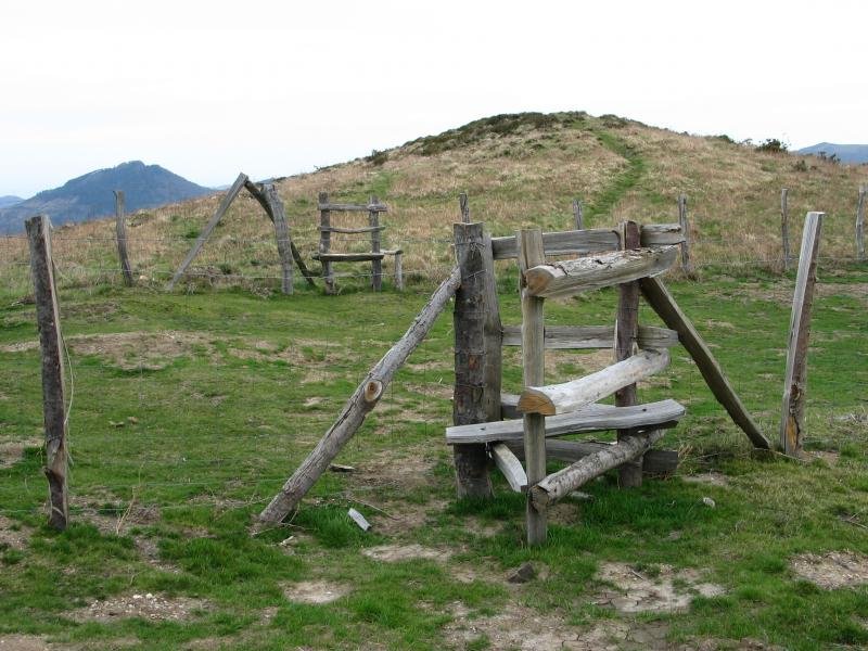 Harpausoak Arano aldeko bizkarrean