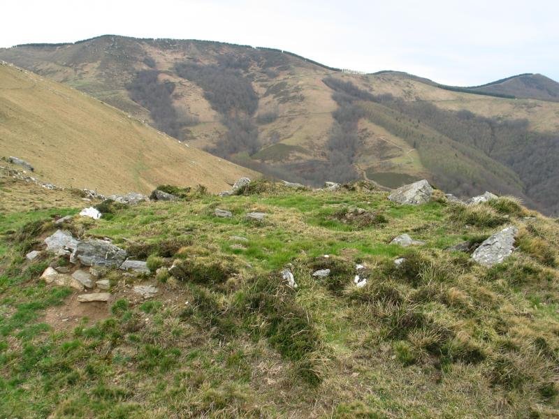 Ezkiturritako gaineko mairubaratza