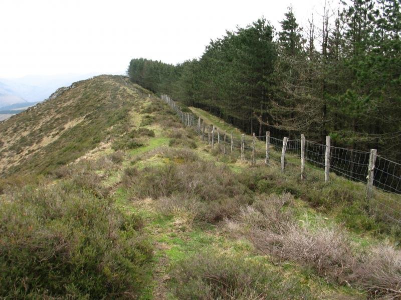 Gainaldeko ikuspegia