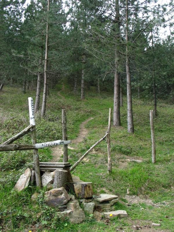 Harpausoa Aztiria aldeko igoeran