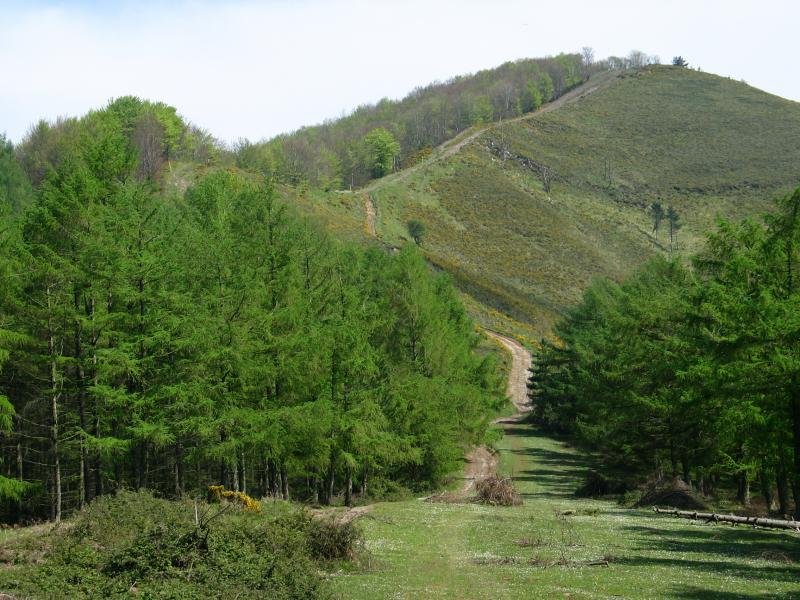 Arranoaitz Mendebaldetik