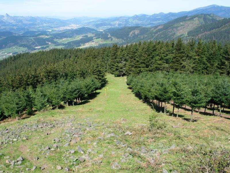 Elorrio aldeko igoera, gasbidean gora