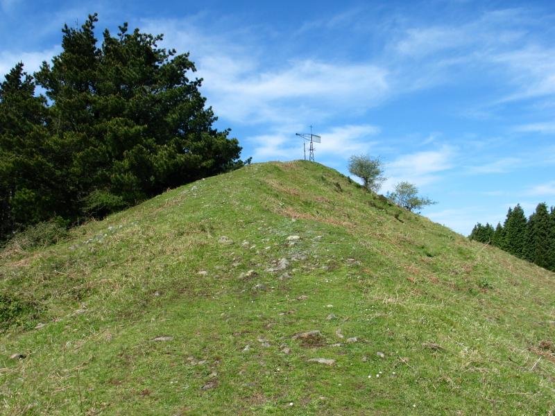 Tontorra Ekialdeko bizkarretik