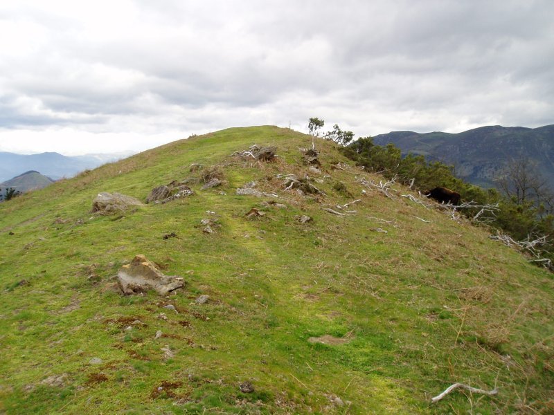 Tontorra hego-ekialdetik ikusita