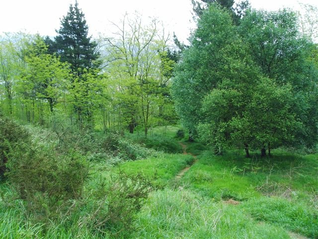 alluitz71@hotmail.com